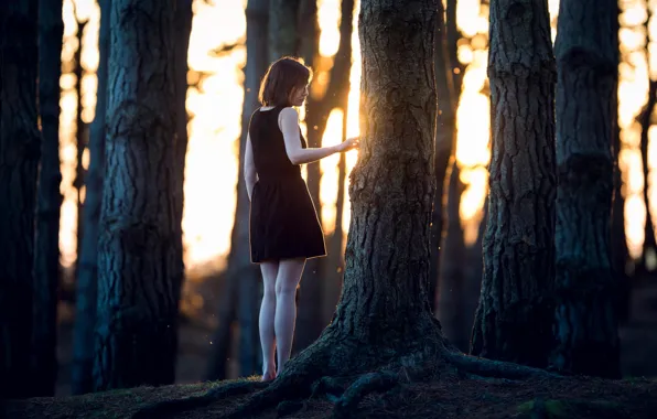 Картинка лес, девушка, одиночество