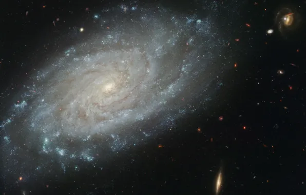 Тёмная, галактика, ngc3370