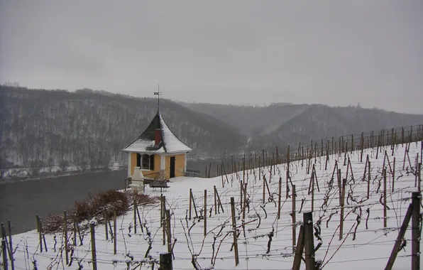River, winter, snow, fog, cloudy, riverside, vineyard