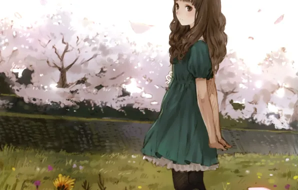 Девушка, деревья, цветы, аниме, сакура, арт, kishida mel