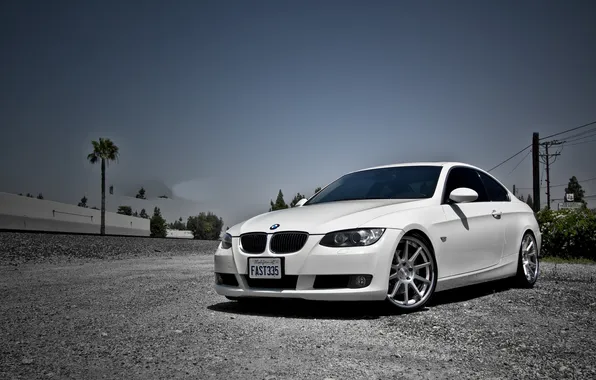 Картинка белый, небо, пальмы, bmw, бмв, white, wheels, sky