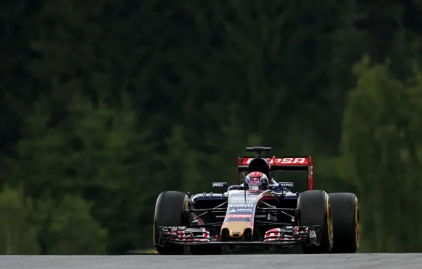 Formula 1, Torro Rosso, Передок