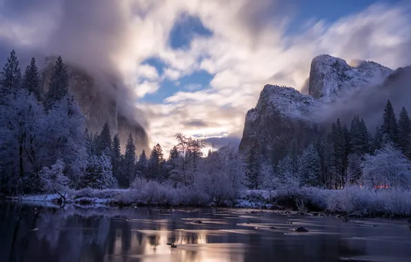 United States, Yosemite, California, Mariposa