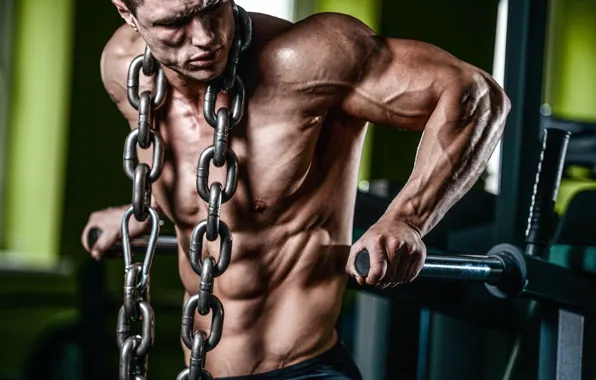 Цепь, muscle, мышцы, тренировка, атлет, воркаут, workout, бодибилдер