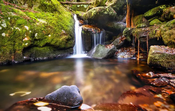 Картинка зелень, осень, листья, камни, водопад, мох, поток