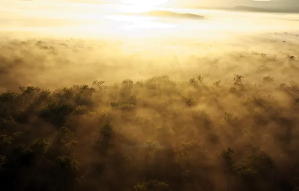 Пейзаж, туман, утро