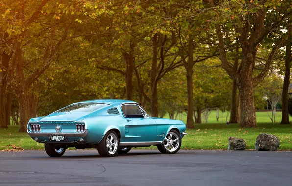 Mustang, Ford, багажник, диски, 1967, Fastback