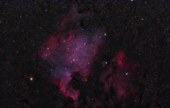 Космос, North America, Pelican Nebulas