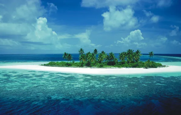 Картинка пальмы, океан, остров