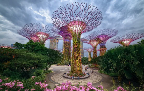 Деревья, город, парк, Сингапур, Gardens by the Bay, Supertree Grove