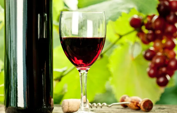Картинка стол, вино, бокал, бутылка, виноград, штопор