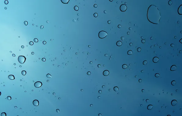 Вода, капли, макро, macro, water drops, 1920x1080