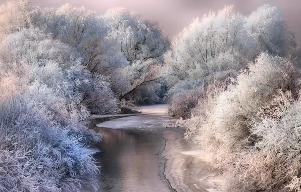 Картинка зима, снег, природа, иней, деревья, река, лёд