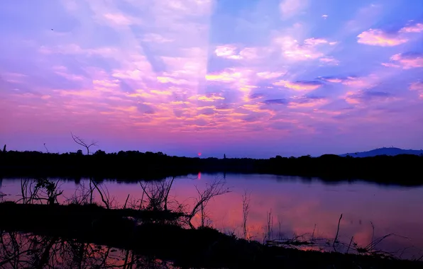 Sun, Water, Sunrise, Dawn, Morning, Lake, Trees, Reflection