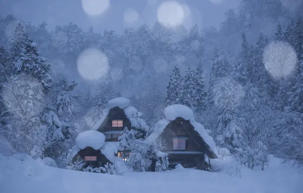 Картинка зима, лес, снег, деревья, Япония, деревня, домики, Japan