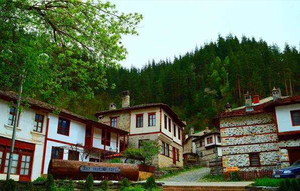 Дома, Улица, Street, Болгария, Village, Bulgaria