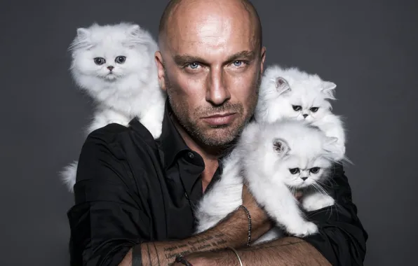 Взгляд, тату, актер, щетина, котики, cats, Дмитрий Нагиев