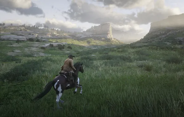 Приключения, вестерн, видеоигра, Red Dead Redemption