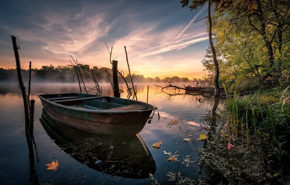 Картинка осень, пейзаж, природа, туман, озеро, лодка, утро