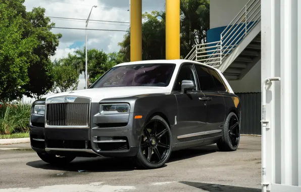 Rolls Royce, Tree, Lux, SUV, Cullinan