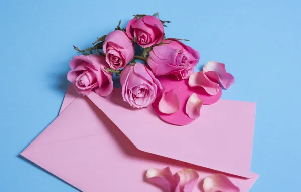 Картинка цветы, розы, лепестки, розовые, pink, flowers, beautiful, romantic