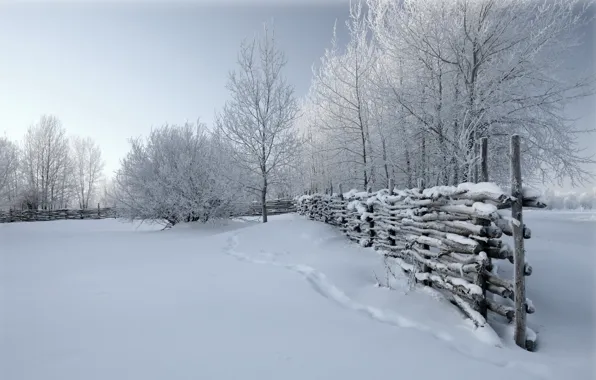 Зима, снег, природа, забор