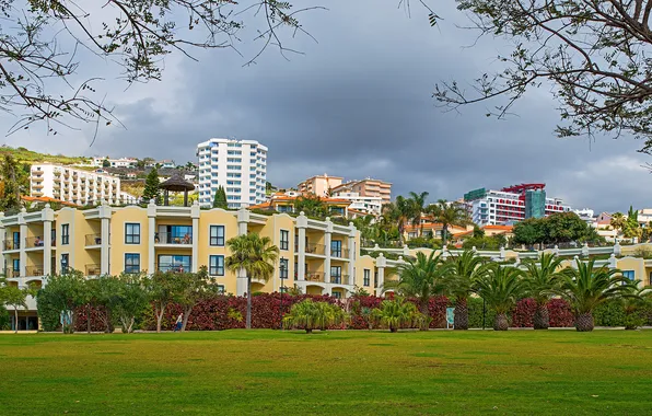 Картинка город, пальмы, фото, газон, дома, Португалия, курорт, Funchal Madeira