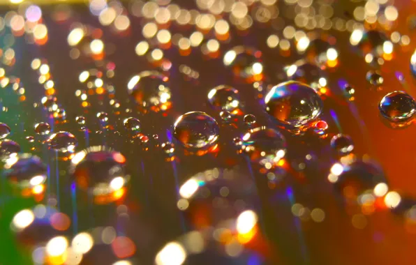 Water, color, drops
