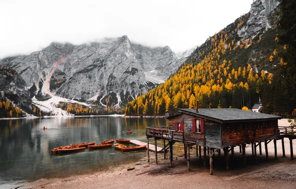 Lake, tranquility, cabin