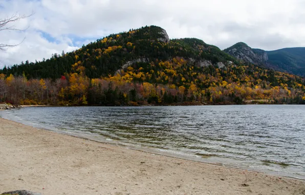 Картинка море, осень, деревья, горы, природа, берег, Nature, trees