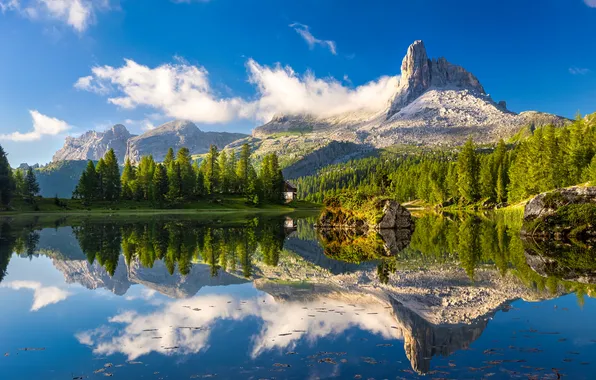 Картинка лес, пейзаж, горы, природа, озеро, отражение, италия, федера