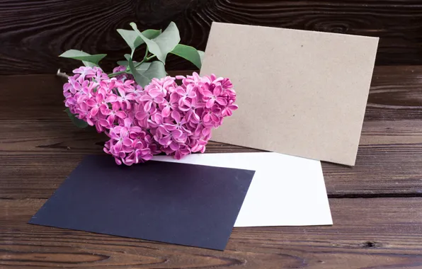 Цветы из гофрированной бумаги ТОП фото, схем и шаблонов
