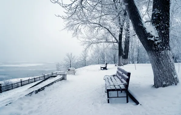 Картинка зима, снег, деревья, природа, парк, nature, winter, snow