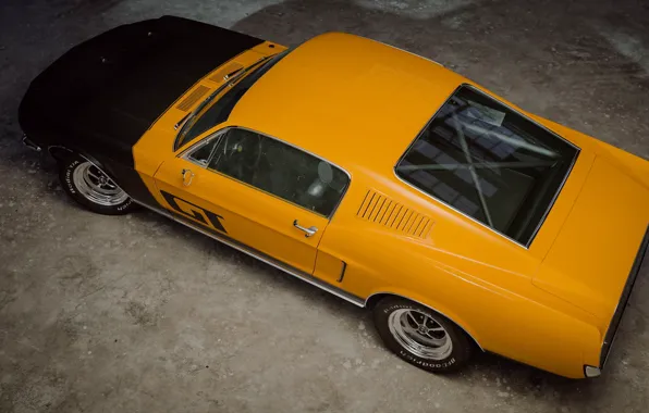 Ford, классика, 1968, Mustang GT, Andreas Ezelius