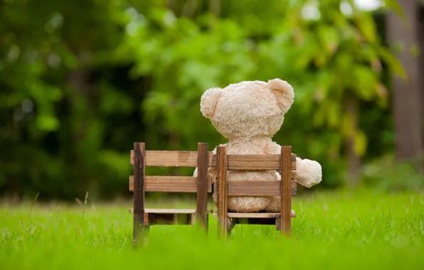 Трава, игрушка, сад, медведь, стул, bear, garden, teddy