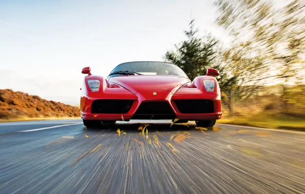 Car, Ferrari, Ferrari Enzo, Enzo, speed