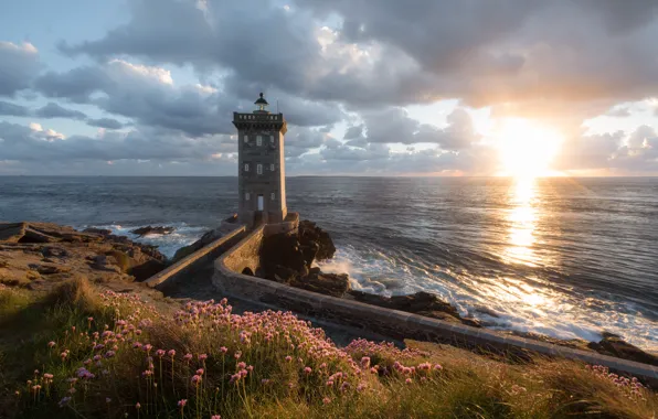 Картинка закат, цветы, океан, побережье, Франция, маяк, France, Атлантический океан