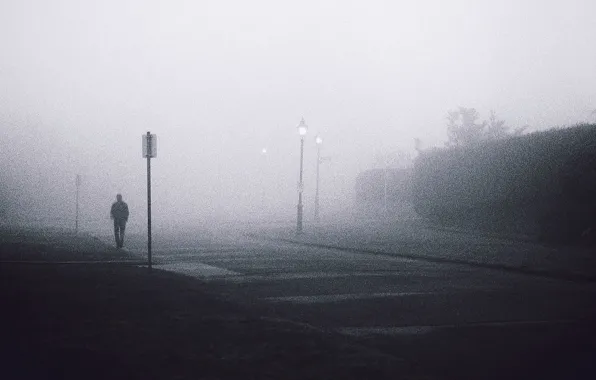 Misty, street, fog, man, lamps