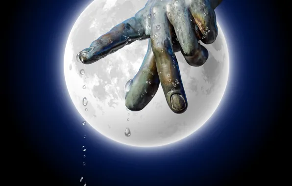 Night, macro, hand, closeup