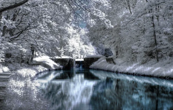 Картинка зима, снег, деревья, пейзажи, леса, парки