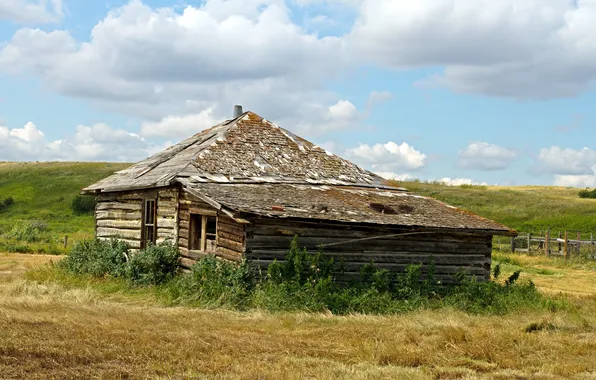 Поле, лето, дома