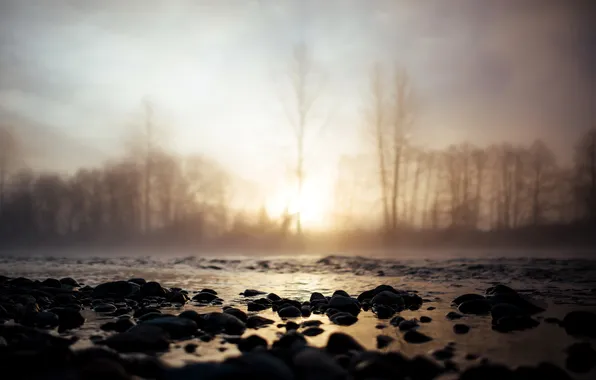 Картинка туман, река, утро