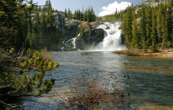 Деревья, камни, скалы, водопад, США, речка, Йосемити, California