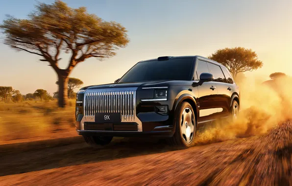 Гибрид, hybrid, люкс, Внедорожник, luxury, SUV, 2025, Zeekr