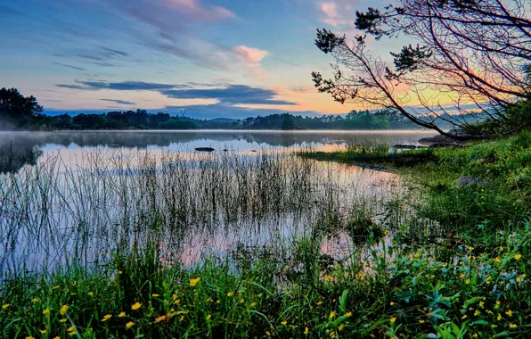 Картинка туман, озеро, утро, Норвегия, дымка, Norway, Rogaland