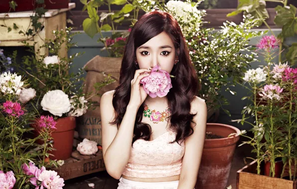 Девушка, музыка, Цветы, азиатка, Tiffany, SNSD, Girls Generation, Южная Корея