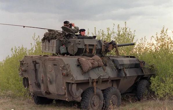 Weapon, tank, armored, military vehicle, armored vehicle, 061, armed forces, military power