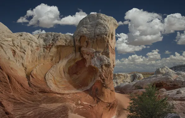 Скала, Аризона, Седона, Rabbit Ears Rock Formation
