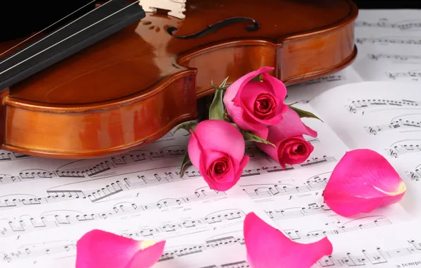 Картинка ноты, скрипка, розы