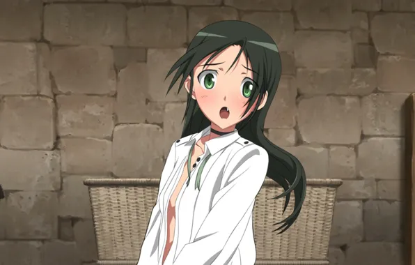 Anime, girl., Strike Witches, Francesca Lucchini